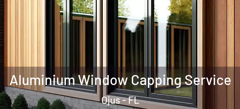  Aluminium Window Capping Service Ojus - FL