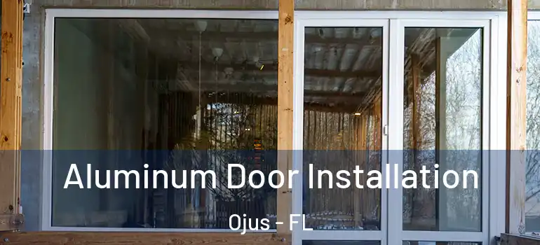  Aluminum Door Installation Ojus - FL