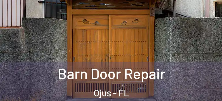  Barn Door Repair Ojus - FL