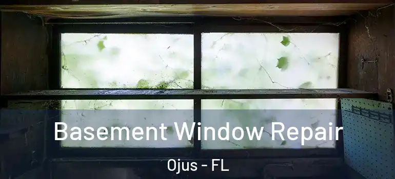  Basement Window Repair Ojus - FL