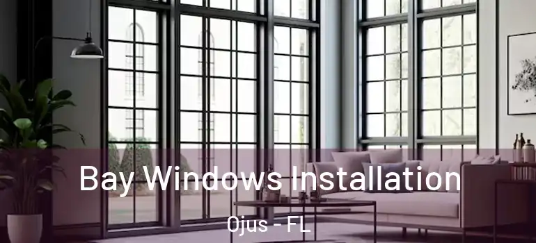 Bay Windows Installation Ojus - FL