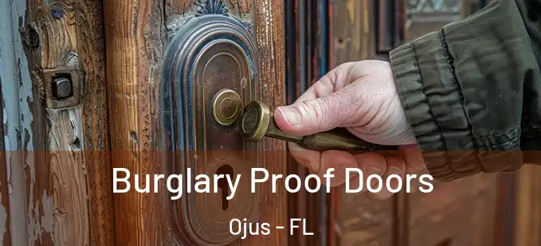  Burglary Proof Doors Ojus - FL