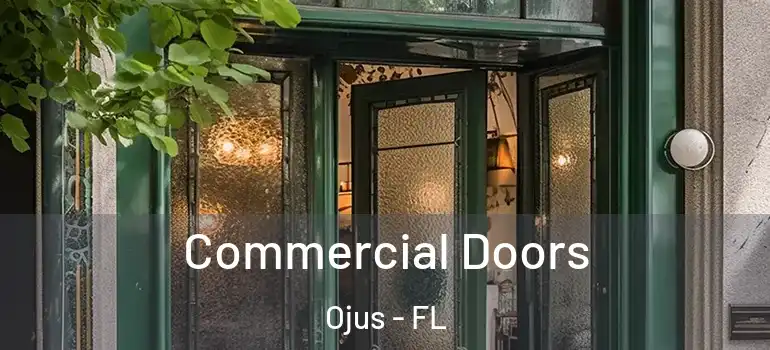 Commercial Doors Ojus - FL