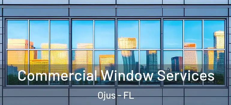  Commercial Window Services Ojus - FL