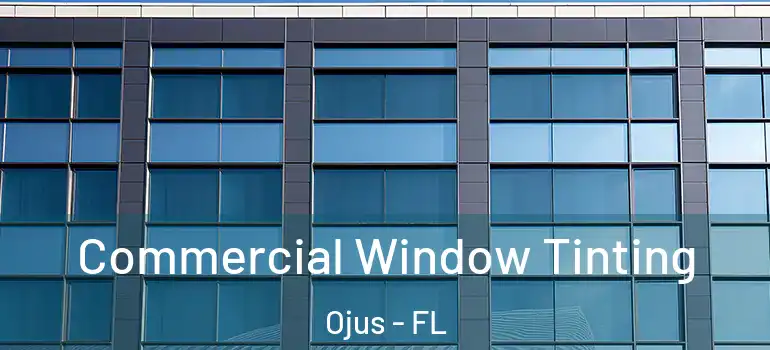  Commercial Window Tinting Ojus - FL