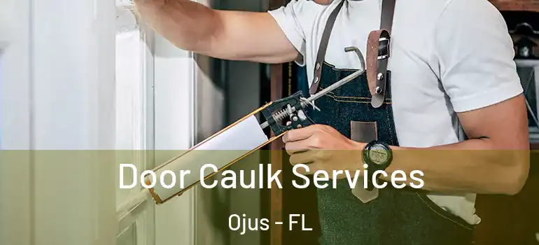  Door Caulk Services Ojus - FL