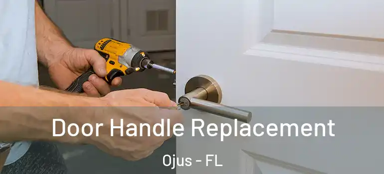 Door Handle Replacement Ojus - FL
