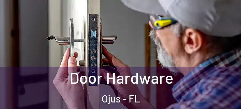  Door Hardware Ojus - FL