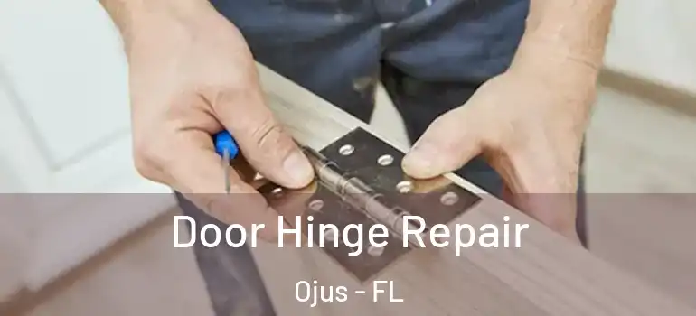  Door Hinge Repair Ojus - FL