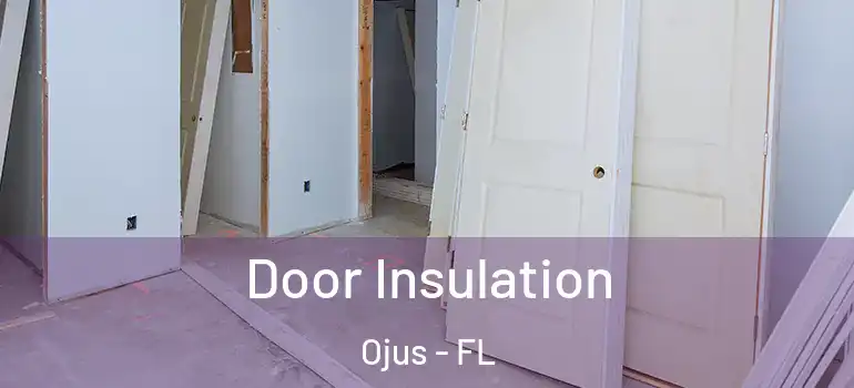  Door Insulation Ojus - FL