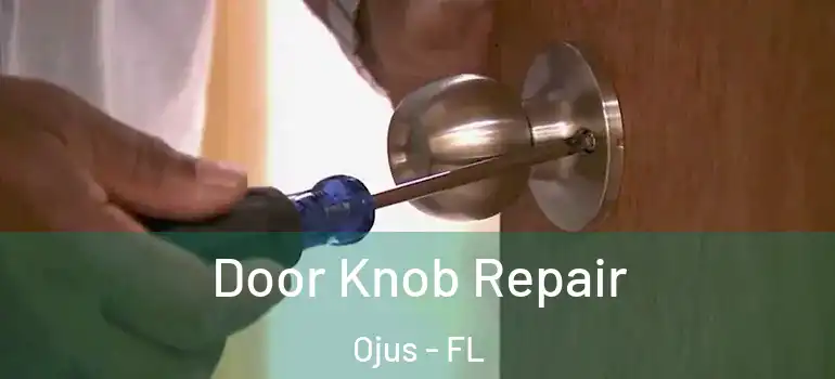  Door Knob Repair Ojus - FL
