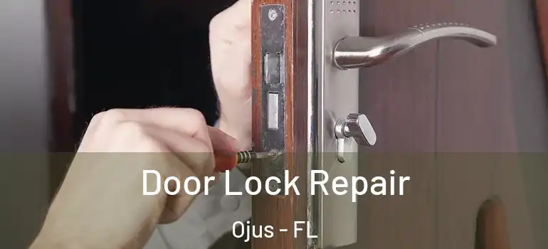  Door Lock Repair Ojus - FL