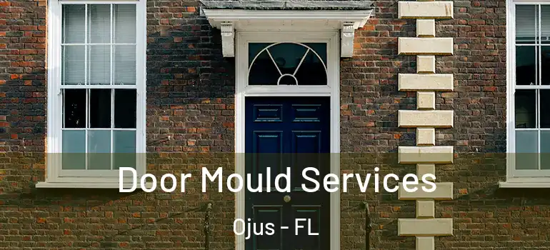  Door Mould Services Ojus - FL