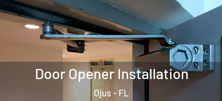  Door Opener Installation Ojus - FL