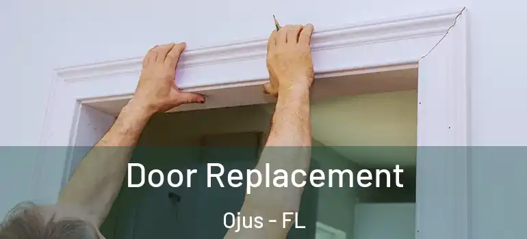  Door Replacement Ojus - FL