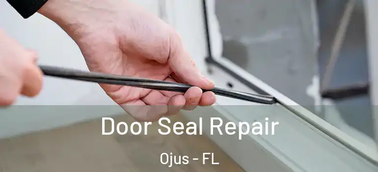 Door Seal Repair Ojus - FL