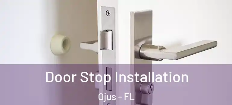  Door Stop Installation Ojus - FL