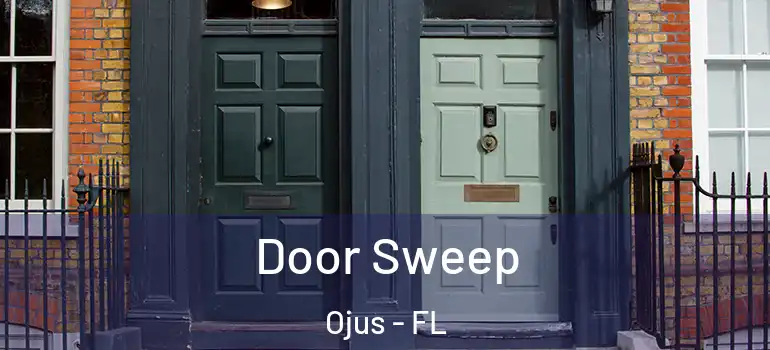  Door Sweep Ojus - FL