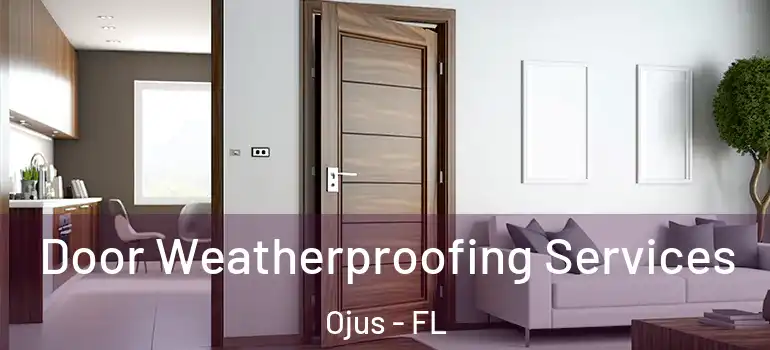  Door Weatherproofing Services Ojus - FL