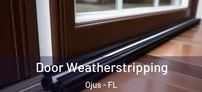  Door Weatherstripping Ojus - FL