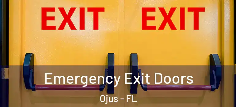  Emergency Exit Doors Ojus - FL