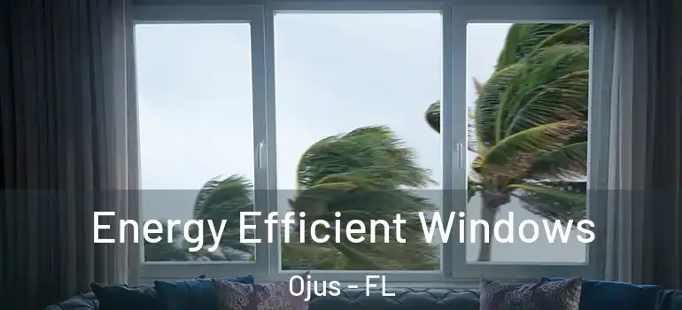  Energy Efficient Windows Ojus - FL