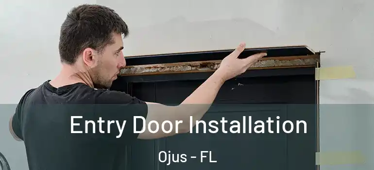  Entry Door Installation Ojus - FL