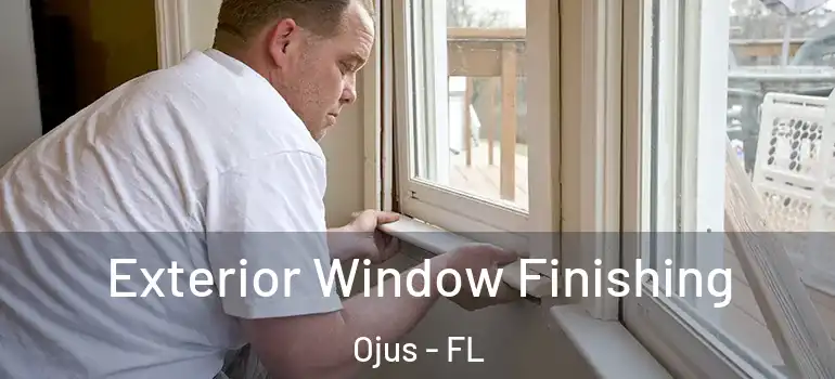  Exterior Window Finishing Ojus - FL
