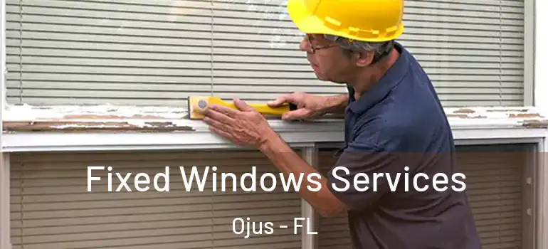  Fixed Windows Services Ojus - FL