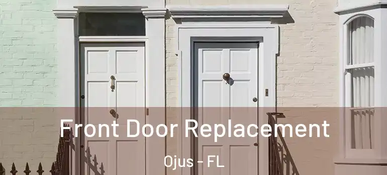  Front Door Replacement Ojus - FL