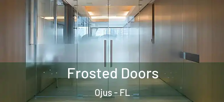  Frosted Doors Ojus - FL