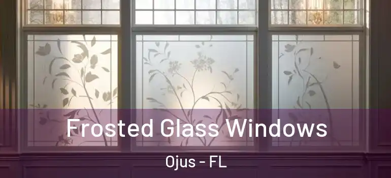  Frosted Glass Windows Ojus - FL