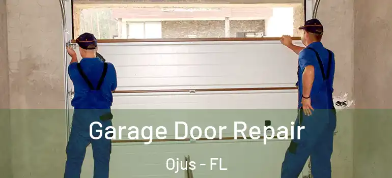  Garage Door Repair Ojus - FL