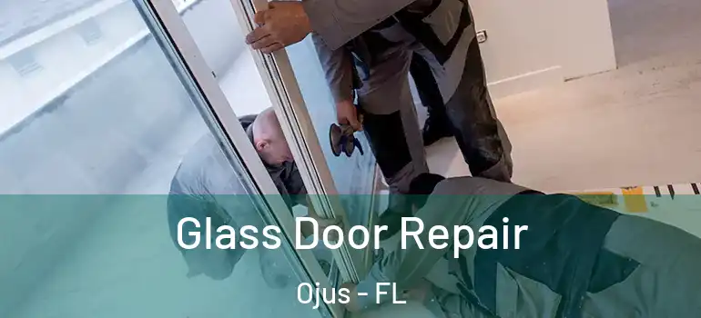  Glass Door Repair Ojus - FL