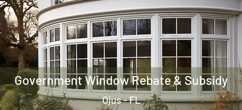  Government Window Rebate & Subsidy Ojus - FL