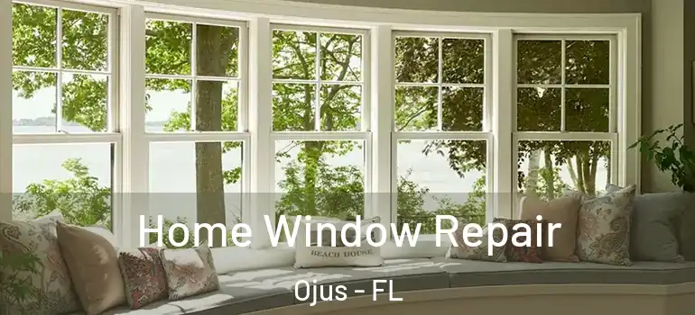  Home Window Repair Ojus - FL