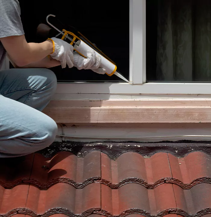 Roof Window Services in Ojus, Florida