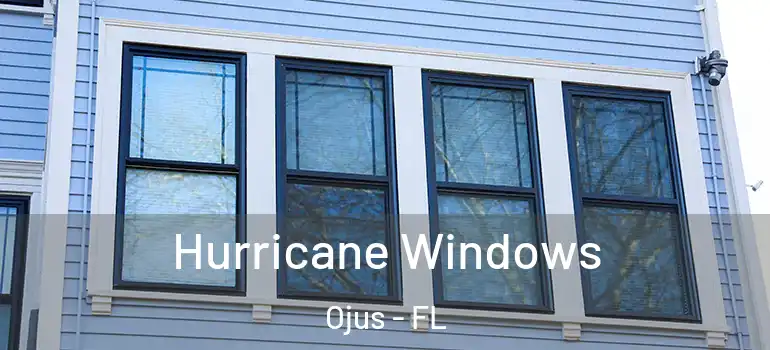  Hurricane Windows Ojus - FL
