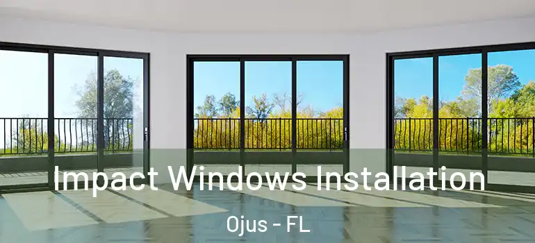  Impact Windows Installation Ojus - FL