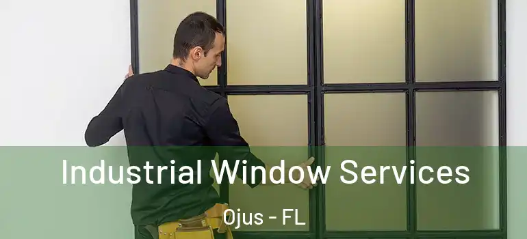  Industrial Window Services Ojus - FL