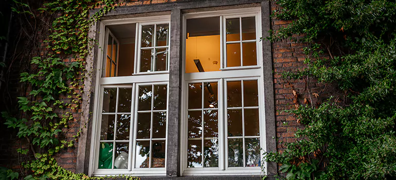 Energy Efficient Wood Windows in Ojus, FL