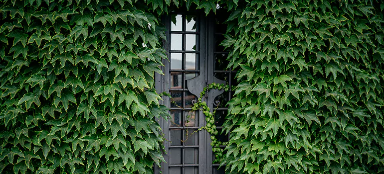 Garden Gate Repair in Ojus, FL