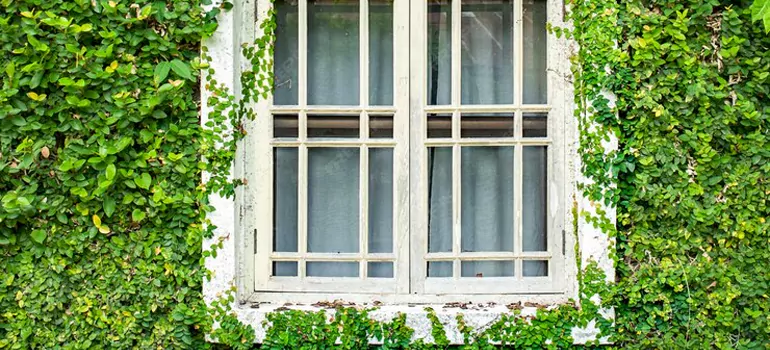 Garden Window Repair Near Me in Ojus, FL