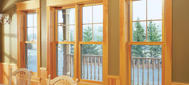 Government Incentives For Replacement Windows in Ojus, FL