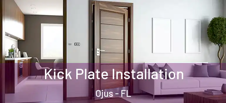  Kick Plate Installation Ojus - FL