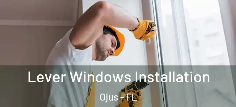  Lever Windows Installation Ojus - FL