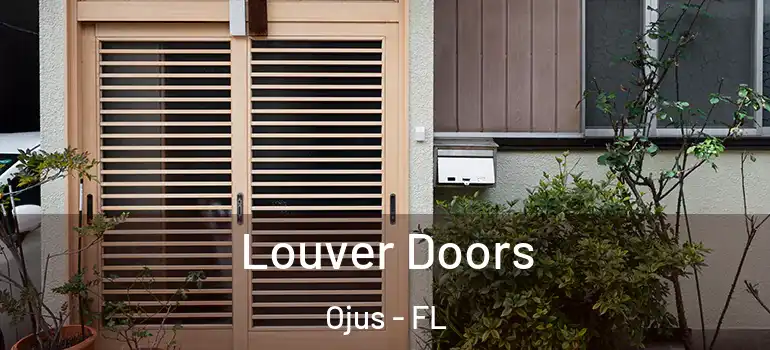  Louver Doors Ojus - FL