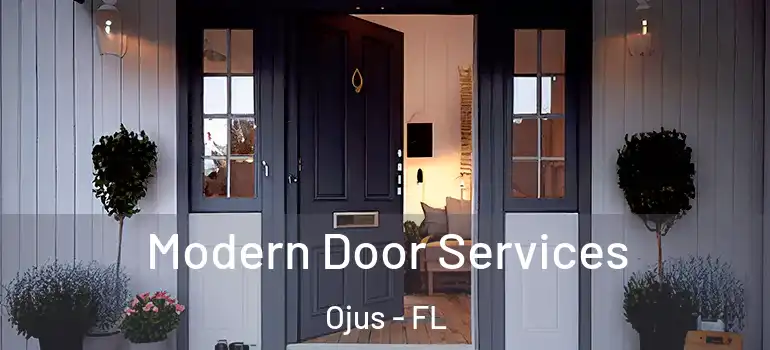  Modern Door Services Ojus - FL