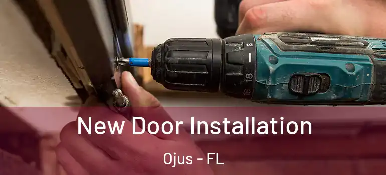  New Door Installation Ojus - FL