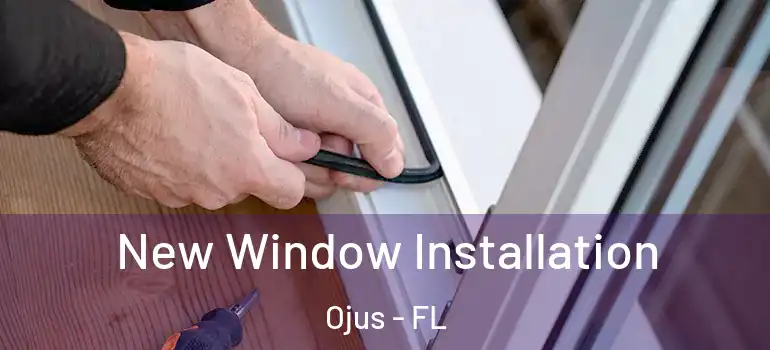  New Window Installation Ojus - FL